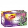 lipton adaçayı-